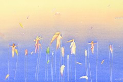 DSCN37311